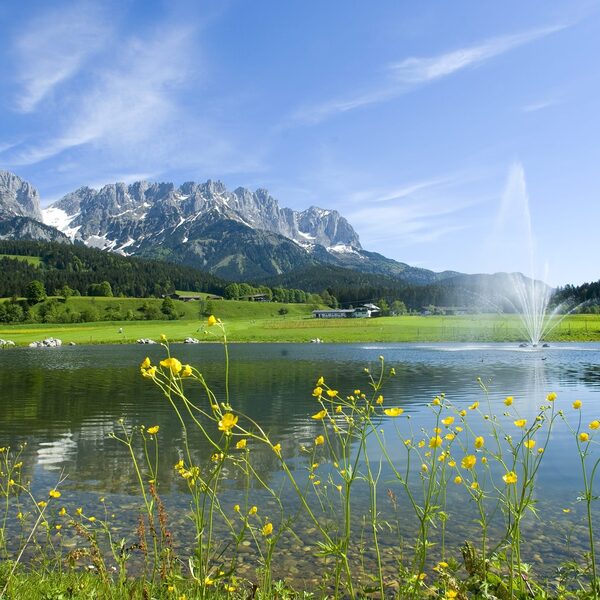 Wilder Kaiser Panorama