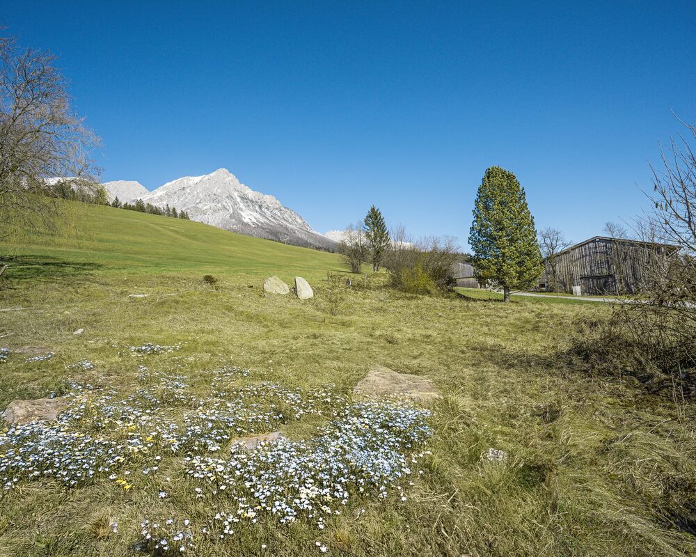 Panorama Grundstück Wilder Kaiser
